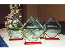 LLA & Foundation Receive 2013 Excellence Awards